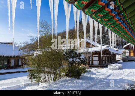 Temple de Baekyangsa recouvert de neige, glaces suspendues aux avant-premières, paysage hivernal en Corée. Banque D'Images