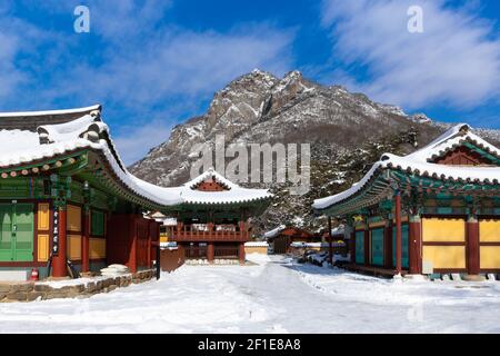 Temple enneigé de Baekyangsa, paysage d'hiver en Corée du Sud. Banque D'Images