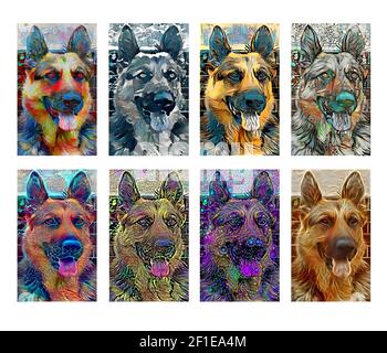 Illustration colorée de berger allemand créée à l'aide de différentes techniques artistiques de pinceaux et les médias Banque D'Images