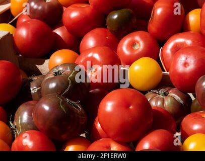 Différentes variétés de tomates colorées de Provence sur le marché agricole de Paris, France. Banque D'Images