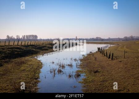 Prairies inondées dans la réserve naturelle de Bislicher Insel sur le Rhin inférieur près de Xanten, paysage de plaine inondable, ancienne branche du Rhin, Rhénanie-du-Nord-Ouest Banque D'Images