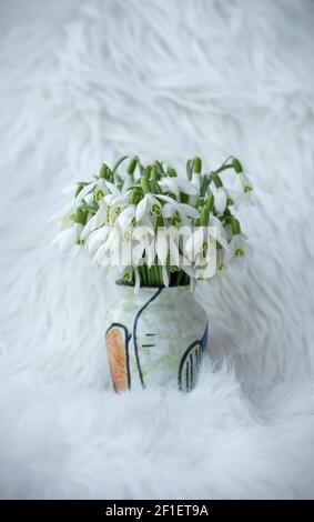 Vue rapprochée avec tas de gouttes de neige couvertes de rosée dans un mini vase sur fond blanc en fourrure Banque D'Images