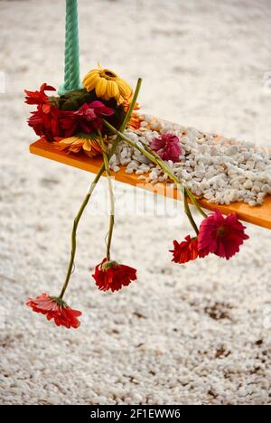 Exposition de fleurs de chrysanthème au Festival annuel des fleurs de Gérone, nommé temps de Fors, en Catalogne, en Espagne Banque D'Images