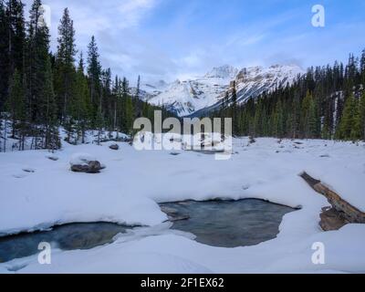 Mistaya Canyon-Winter, parc national Banff, Alberta, Canada Banque D'Images