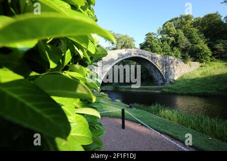 Le Brig o Doon, Alloway, South Ayrshire, Écosse, Royaume-Uni. Parfois appelé le Brig d'Auld ou le Vieux Pont de Doon, est un pont médiéval tardif et une structure de catégorie A et est le pont de pavés original du XVe siècle. Il a été immortalisé dans le poème Robert Burns « le Tale de Tam o Shanter » sous le pont se trouvent les jardins soignés de l'hôtel Brig o Doon Banque D'Images