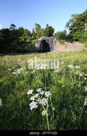 Le Brig o Doon, Alloway, South Ayrshire, Écosse, Royaume-Uni. Parfois appelé le Brig d'Auld ou le Vieux Pont de Doon, est un pont médiéval tardif et une structure de catégorie A et est le pont de pavés original du XVe siècle. Il a été immortalisé dans le poème Robert Burns « le Tale de Tam o Shanter » sous le pont se trouvent les jardins soignés de l'hôtel Brig o Doon Banque D'Images