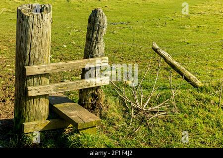 Piquet en bois sur un sentier public dans un champ de la campagne britannique. Banque D'Images