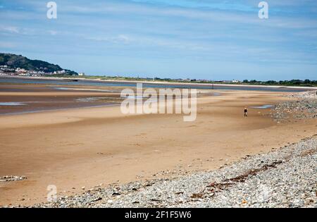 La Grande Orme vue de l'autre côté de Conwy Sands depuis Morfa Conwy Snowdonia du Nord du pays de Galles Banque D'Images