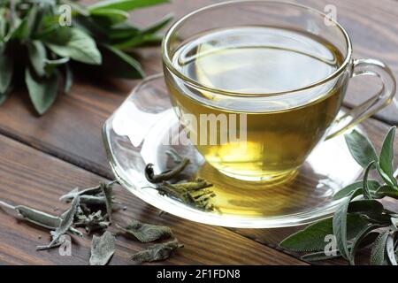 Sauge tisane dans une tasse de verre avec des feuilles fraîches et séchées sur fond rustique en bois, gros plan, espace de copie, médecine naturelle et homéopathique sain Banque D'Images