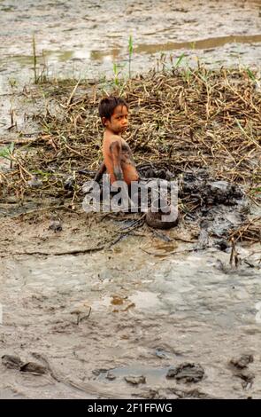 Un jeune garçon dans la boue profonde de la chasse au ricow de sa famille pour les crabes, dans le sud rural du Vietnam, juin 1980 Banque D'Images