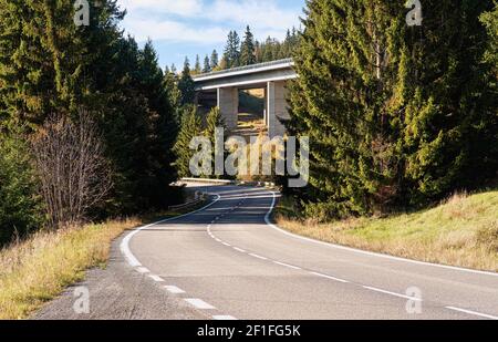 Le soleil brille sur la courbe de la route asphaltée menant à travers la forêt, les conifères des deux côtés, le petit arrière-plan de pont d'autoroute Banque D'Images