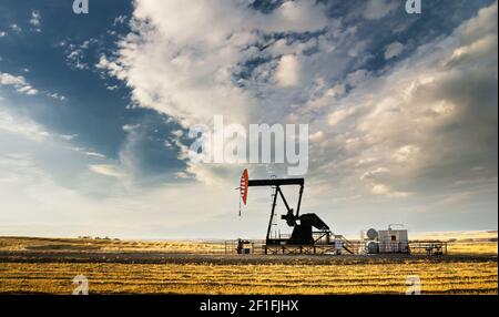 Un cric à pompe à pétrole et à gaz qui travaille dans les Prairies de l'Alberta et qui produit des ressources naturelles pour l'économie canadienne. Banque D'Images