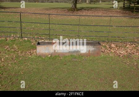 Old Metal bac avec eau potable fraîche pour le bétail dans un champ sur une ferme dans le Devon rural, Angleterre, Royaume-Uni Banque D'Images