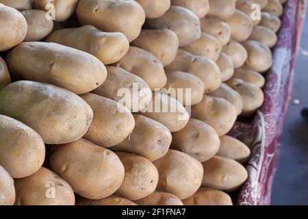 Beaucoup de pommes de terre biologiques alignées sur le comptoir ou le stand du marché. Banque D'Images