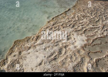 Vue rapprochée des sources thermales de Pamukkale, Turquie. Banque D'Images