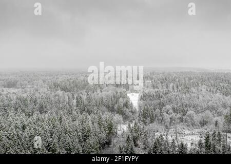AÉRIEN: Vol au-dessus de cimes enneigées gelées vers la campagne isolé petite maison au milieu d'une forêt enneigée en vue panoramique. Banque D'Images