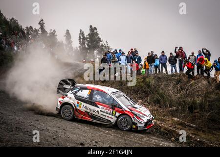 08 TANAK Ott (est), JARVEOJA Martin (est), TOYOTA YARIS, TOYOTA GAZOO RACING WRT, action pendant le Championnat du monde de rallye WRC 2019, Rally Chile du 9 au 12 mai, à Concepcion - photo François Flamand / DPPI Banque D'Images