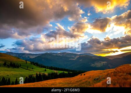 Paysage dans les montagnes, Transalpina, Roumanie Banque D'Images