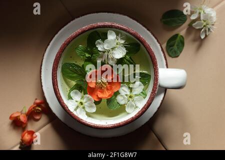 Thé floral de printemps à la menthe avec des boutons de fleurs de pommier et de fleurs de coing , de dessus vue de dessus de dessus de dessus, gros plan, espace de copie, remède naturel a Banque D'Images