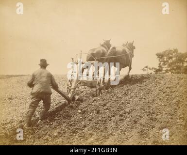 Peter Henry Emerson (britannique, né à Cuba - UNE traction raide Banque D'Images