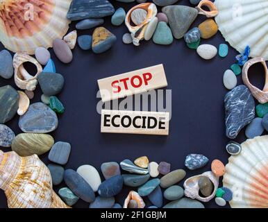 Symbole d'arrêt de l'ecocide. Les blocs en bois avec des mots arrêtent l'ecocide. Coquillages et pierres de mer. Magnifique arrière-plan gris, espace de copie. Affaires, écologique et s Banque D'Images