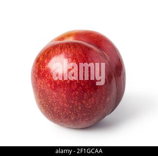 Fruit de prune Banque D'Images