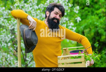 Travail de jardinage au printemps. Jardinier qui se prépare à la plantation. Mâle barbu avec outils de jardinage. Banque D'Images