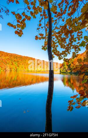 Magnifique paysage d'automne dans le parc de Plitvice Jezera, Croatie