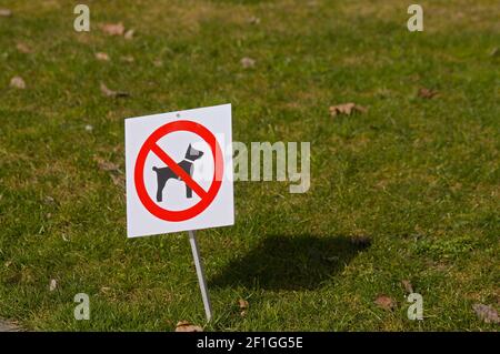 Panneau « chiens interdits » situé sur une herbe verte à l' Un parc public en Suisse Banque D'Images