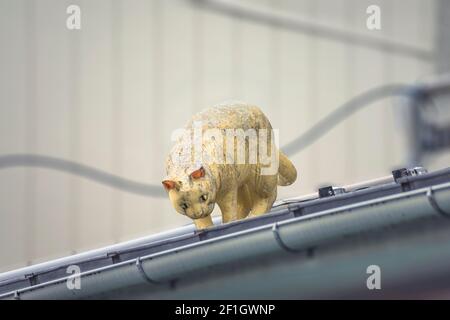 tokyo, japon - février 28 2021 : sculpture représentant un chat blanc regardant sur un caniveau dans la rue commerçante Yanaka-Ginza connue sous le nom de lieu Saint Banque D'Images