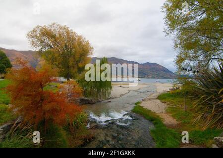 Automne au parc de la ville près du lac Wanaka dans le centre de l'Otago Région de Nouvelle-Zélande Banque D'Images