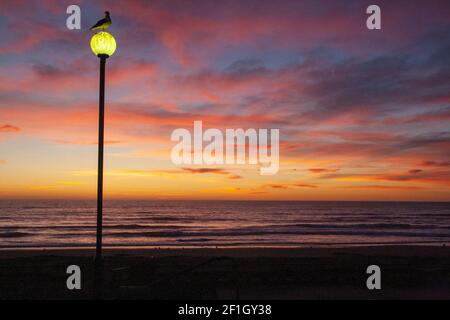 Crépuscule coloré juste avant le lever du soleil sur l'horizon de l'océan Pacifique, Segul au feu de rue, Dawn à New Brighton Beach, Christchurch en Nouvelle-Zélande Banque D'Images