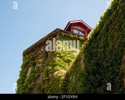 Maison typique surcultivée avec de l'ivy à Annecy, France Banque D'Images