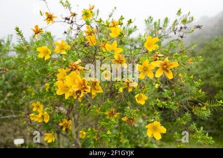 Voyage sur l'île de la Réunion Banque D'Images