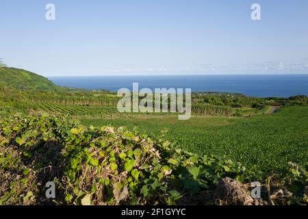 Voyage sur l'île de la Réunion Banque D'Images