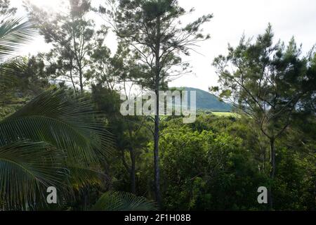 Voyage sur l'île de la Réunion Banque D'Images