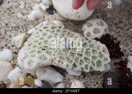 Voyage sur l'île de la Réunion Banque D'Images