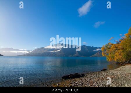 Wilson Bay près de Queenstown, Île du Sud de la Nouvelle-Zélande, vue sur le lac Wakatipu et Walter Peak Banque D'Images