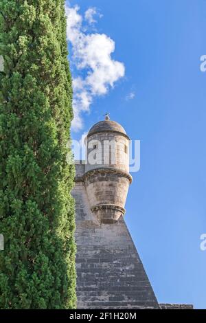 Bertizan du bastion de Sant Pere, qui fait partie de l'enceinte fortifiée de la Renaissance (murs d'es Baluard) qui a entouré la ville de Palma unt Banque D'Images