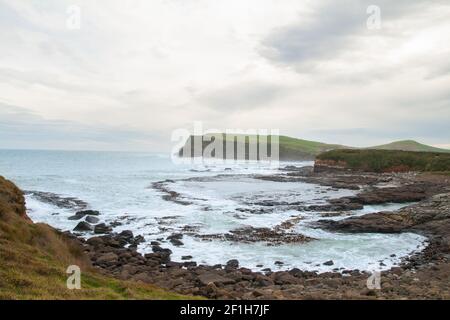Curio Bay et Porpoise Bay, paysage du sud de l'océan Pacifique, côte de Catlins, Nouvelle-Zélande Banque D'Images