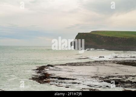 Falaises de Curio Bay à Porpoise Bay, vagues de l'océan Pacifique écrasant dans la grande falaise, côte de Catlins, Nouvelle-Zélande Banque D'Images