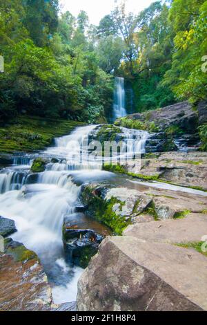 Les chutes McLean, cascade sur la rivière Tutuku dans le parc forestier de Catlins, Southland, Nouvelle-Zélande Banque D'Images