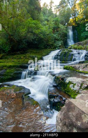 Les chutes McLean, cascade sur la rivière Tutuku dans le parc forestier de Catlins, Southland, Nouvelle-Zélande Banque D'Images