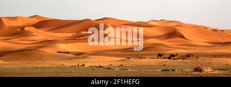 De superbes dunes de sable de Merzouga Banque D'Images