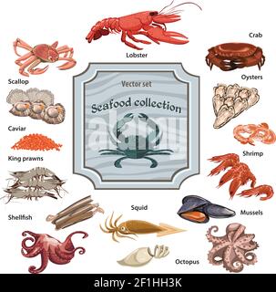 Icônes colorées représentant des fruits de mer dessinés à la main et représentant la mer et l'océan illustrations vectorielles isolées animaux et créatures Illustration de Vecteur