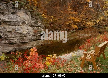 Banc en bois pour deux surplombant le ruisseau de pierre à affûter et les falaises de roche en face en automne, Missouri, États-Unis Banque D'Images