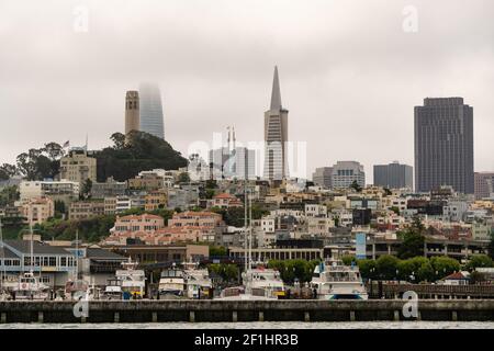 Des bateaux flotteurs à la marina près de l'embarcadère 39 et du Ferry Dock San Francisco CA Banque D'Images