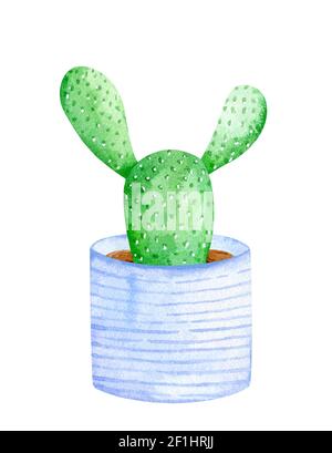 Oreilles de lapin de cactus aquarelle dans un pot bleu décoré Banque D'Images