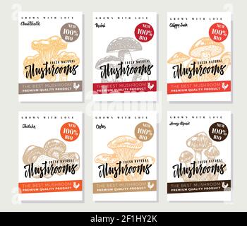 Affiches d'aliments biologiques naturels avec différents types de produits comestibles champignons de couleur dans une illustration vectorielle de style esquisse Illustration de Vecteur