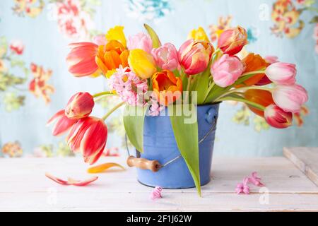 Tulipes colorées dans un petit seau Banque D'Images
